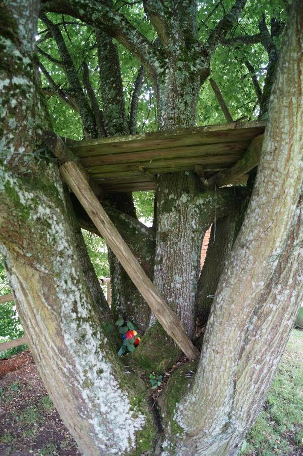 Gite De 15 Places En Chambre De 2, 4, 5 Personnes Saint-Exupery-les-Roches ภายนอก รูปภาพ